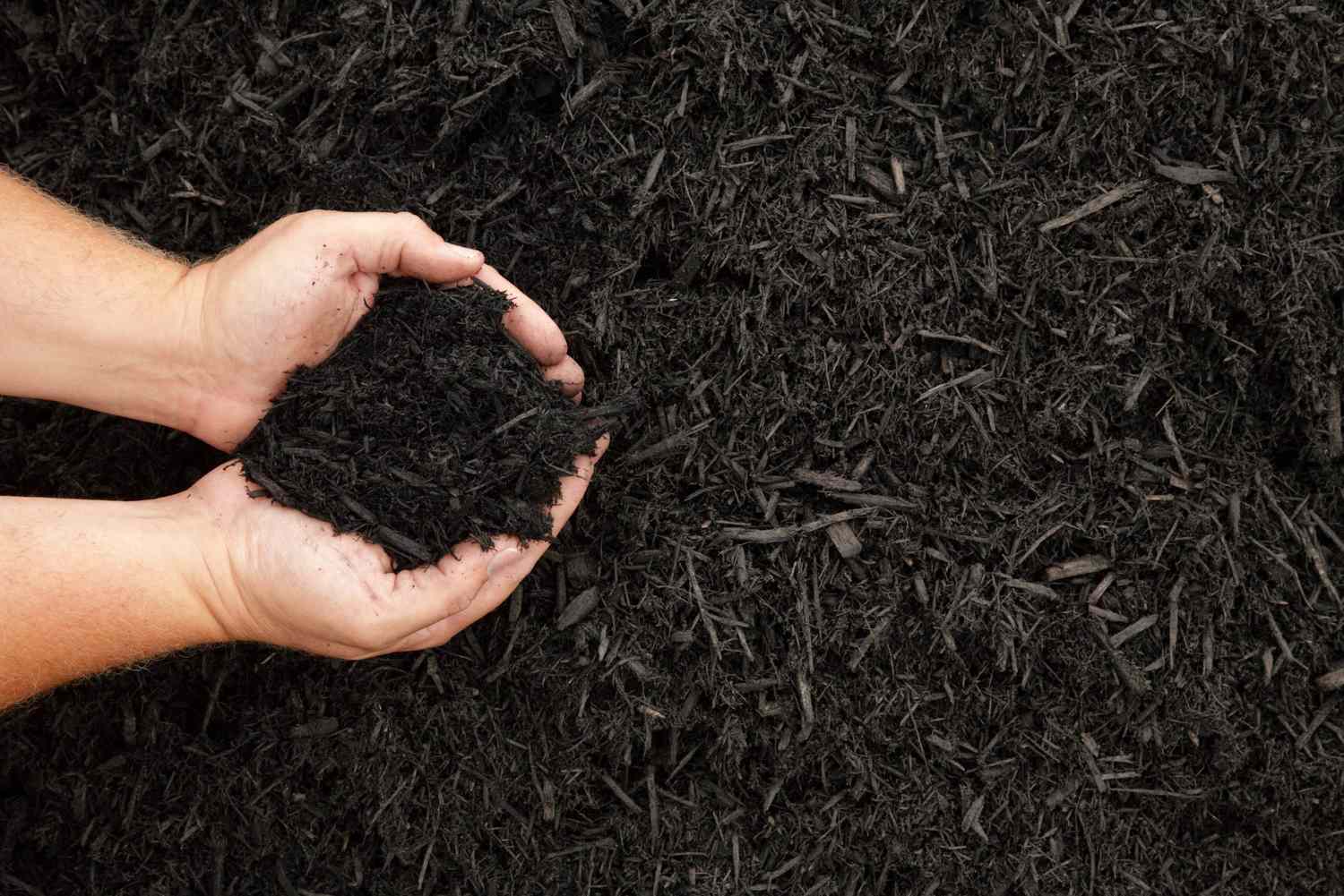 The Ultimate Guide to Choosing the Right Mulch for Your Central Ohio Garden