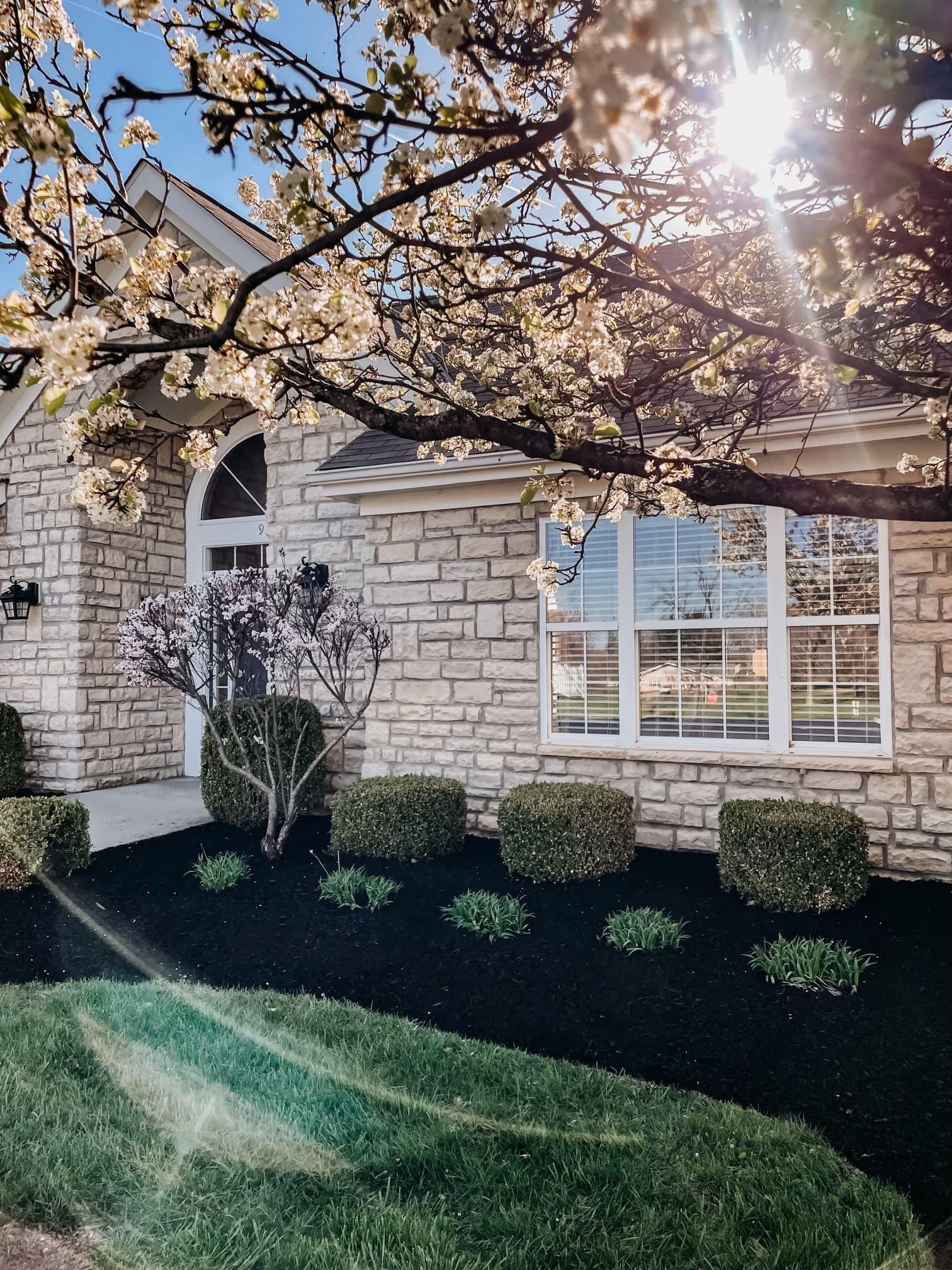 Premium Black Mulch Installation