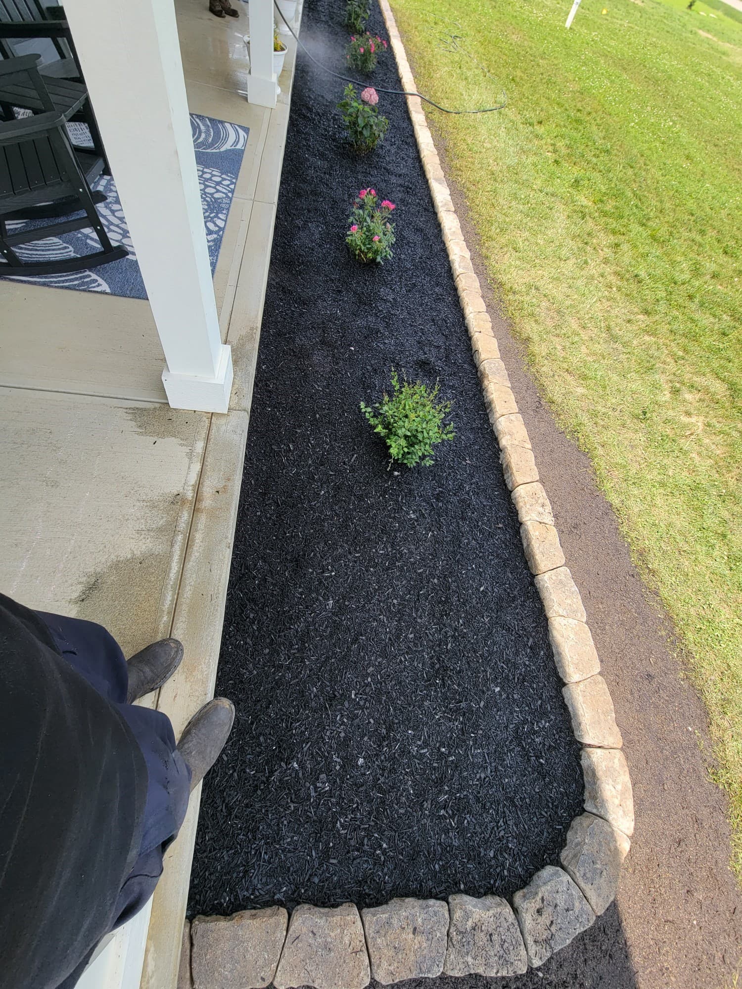 Spring Cleanup Project