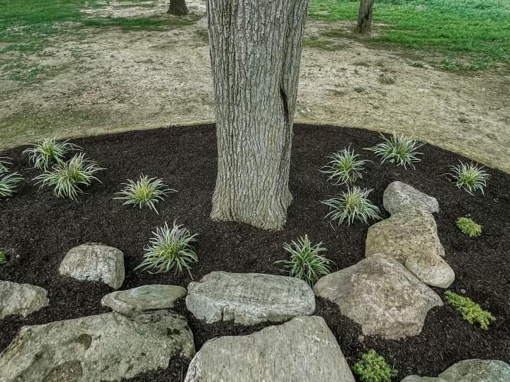 Decorative Stone Borders