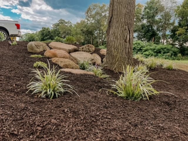 Weeding Planted Areas